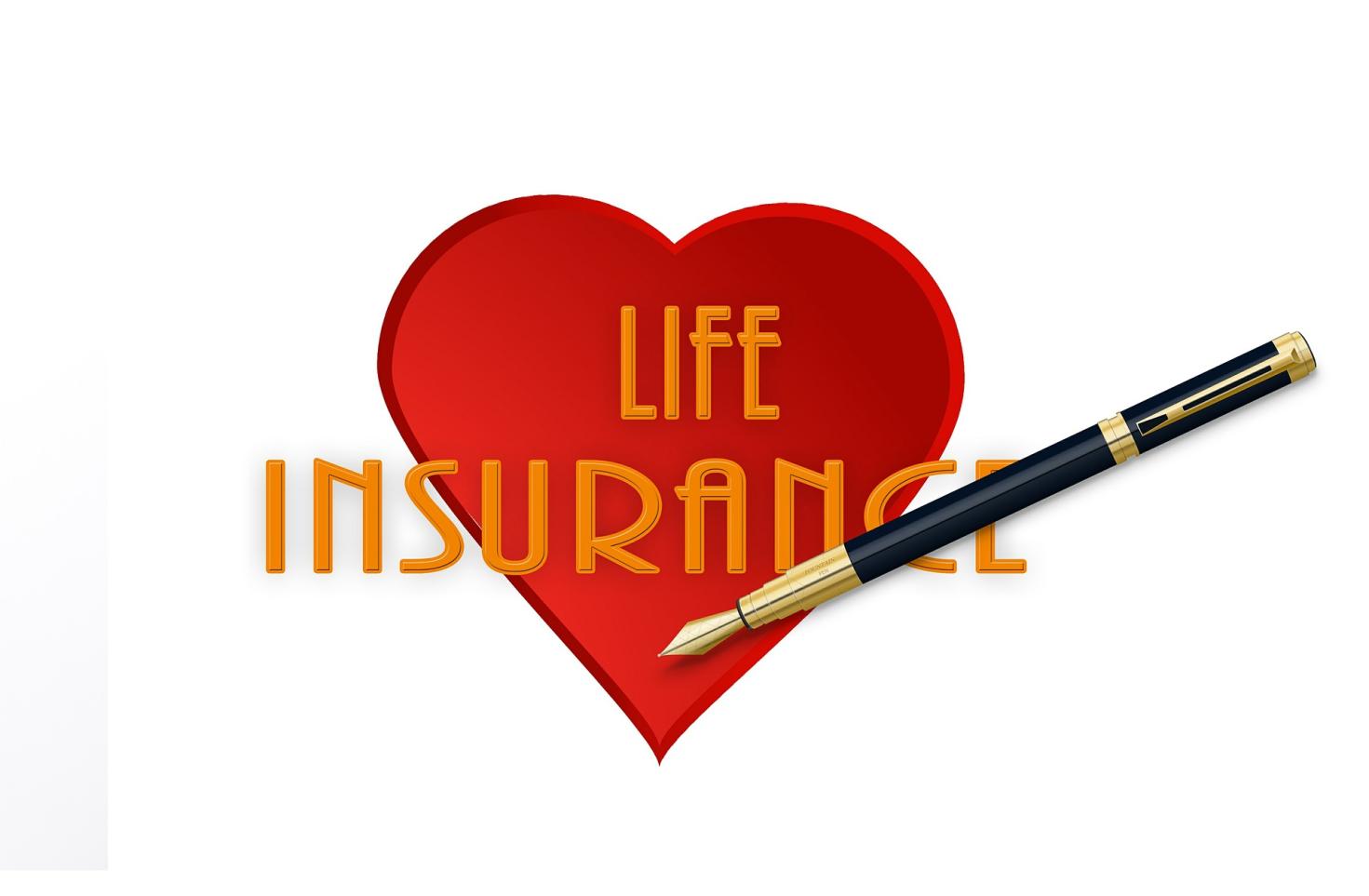 What Should I Consider When Choosing a Vehicle Insurance or Life Insurance Policy?
