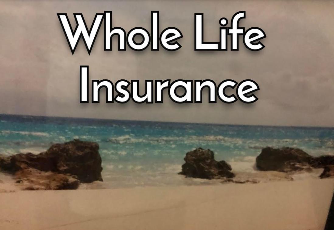 Vehicle Insurance and Life Insurance: How Do They Impact My Financial Stability?